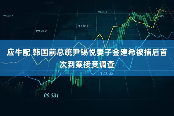 应牛配 韩国前总统尹锡悦妻子金建希被捕后首次到案接受调查