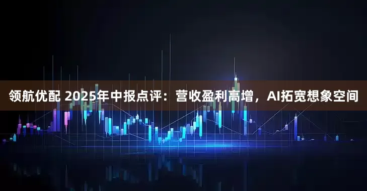 领航优配 2025年中报点评：营收盈利高增，AI拓宽想象空间