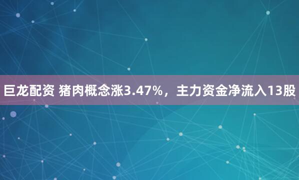 巨龙配资 猪肉概念涨3.47%，主力资金净流入13股