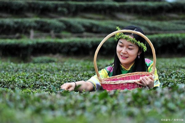 银河证券 计划去墨脱？先收好这份攻略！跟着西藏 60 载风华路，解锁云端秘境全玩法