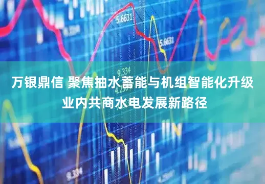 万银鼎信 聚焦抽水蓄能与机组智能化升级 业内共商水电发展新路径