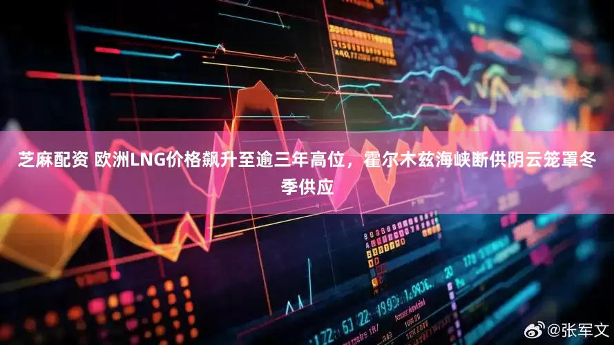 芝麻配资 欧洲LNG价格飙升至逾三年高位，霍尔木兹海峡断供阴云笼罩冬季供应